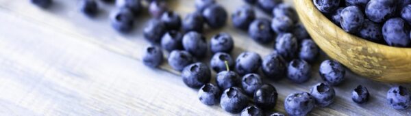 blueberries, free wallpaper, berries-6824569.jpg